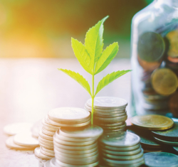 Investing in your dental practice, represented by a plant growing from coins