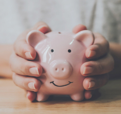 hands holding a piggy bank