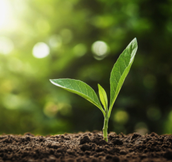 Embracing Green Dentistry 2