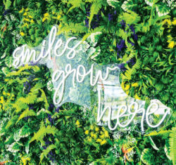 Rooted in Family: Part 2