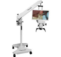 Seiler 3D Surgical